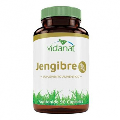 JENGIBRE 90 CAP VIDANAT