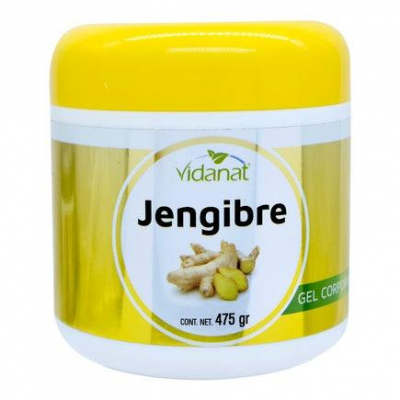 GEL DE JENGIBRE 475 G VIDANAT